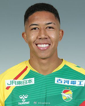 网站本子