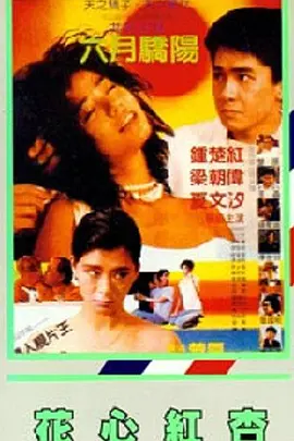精品欧美高清一区二区免费