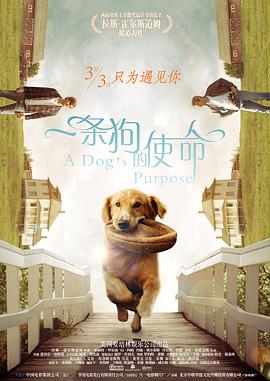 亚洲人成网站色7799在线观看
