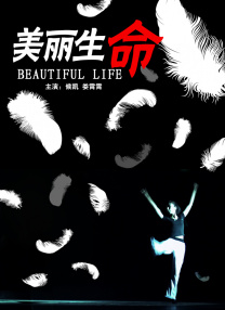 伊人一级