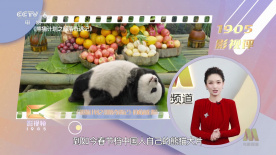 综合网婷婷